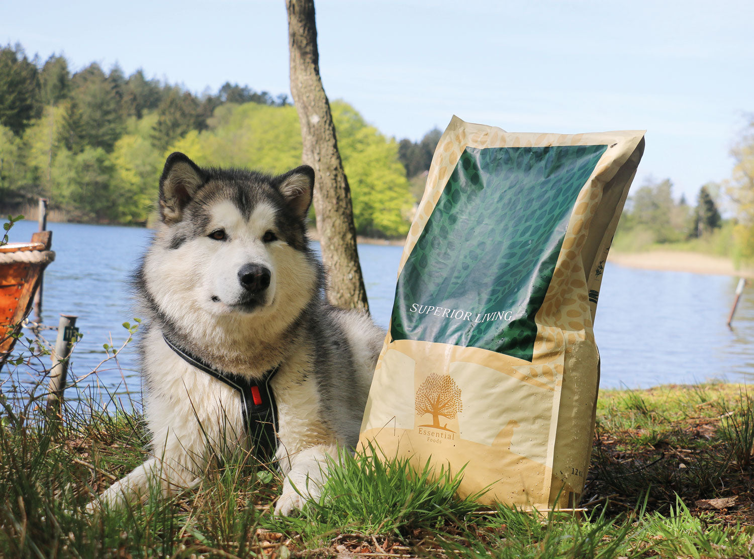 Premium quality dog food Essential Foods