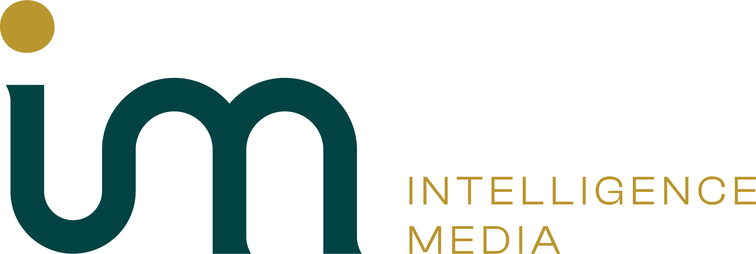 Intelligence Media - Ecommerce Marketing Agency (Logo)