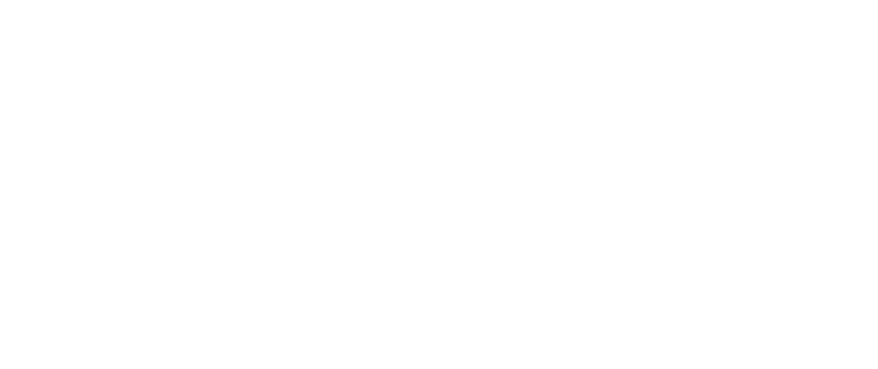 MySkin.lv logo