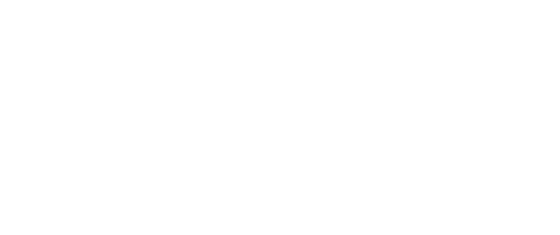 Stenders Cosmetics logo